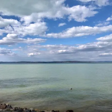 Sun And Beach Vacation In Daire